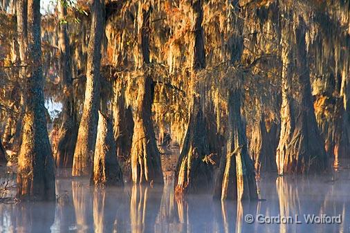 Lake Martin Morning_25950.jpg - Photographed at the Cypress Island Preserve near Breaux Bridge, Louisiana, USA.